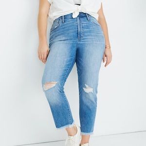 Madewell the Perfect Vintage Jean in Parnell Wash